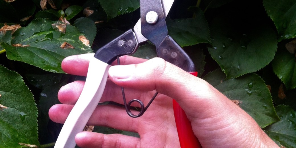 De schaar die dit weekend verloot wordt: de Okatsune 306. Wees gerust, het spinnetje op het witte handvat wordt niet meegeleverd...