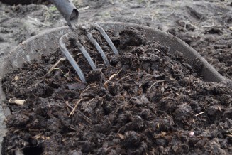 Kruiwagens vol oude stalmest hebben we vorig jaar over de moestuin verspreid. Het moestuinseizoen zullen we dit jaar afsluiten met het zaaien van groenbemesters. 